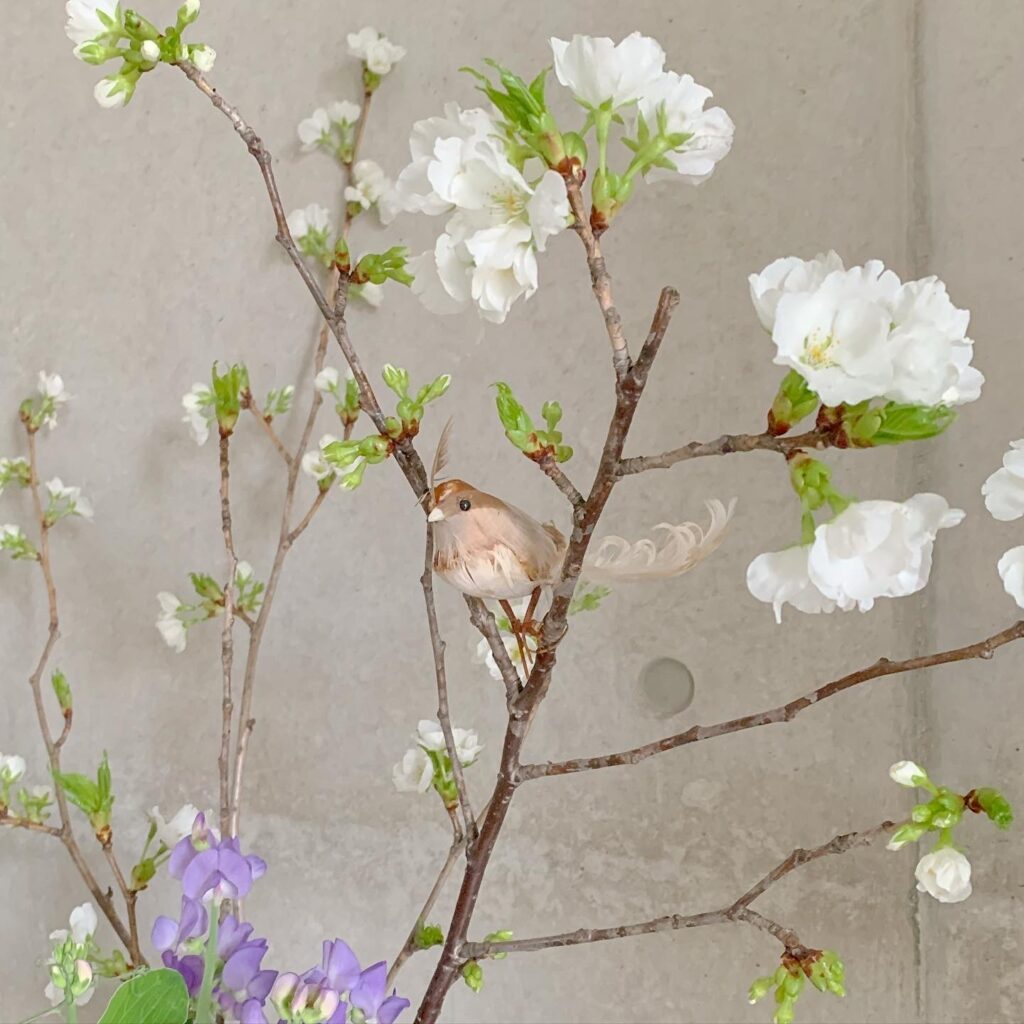 春爛漫のアイキャッチ画像