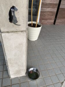 犬の待合のアイキャッチ画像