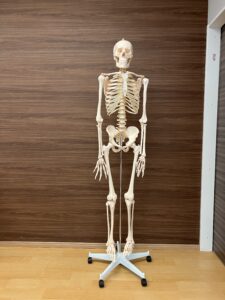 リハビリ室通信　～１２月編～のアイキャッチ画像