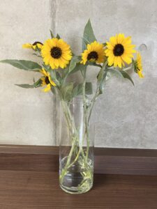 🏵夏から秋にかけてのお花🏵のアイキャッチ画像