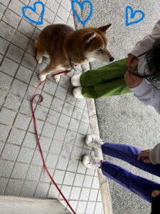ワンコたち🐕のアイキャッチ画像
