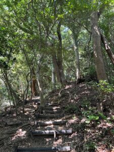 城山ハイキングのアイキャッチ画像