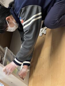 恒例の・・・🤗のアイキャッチ画像