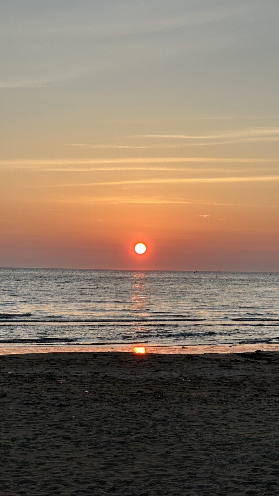 これからの時期の暑さ対策☀️のアイキャッチ画像